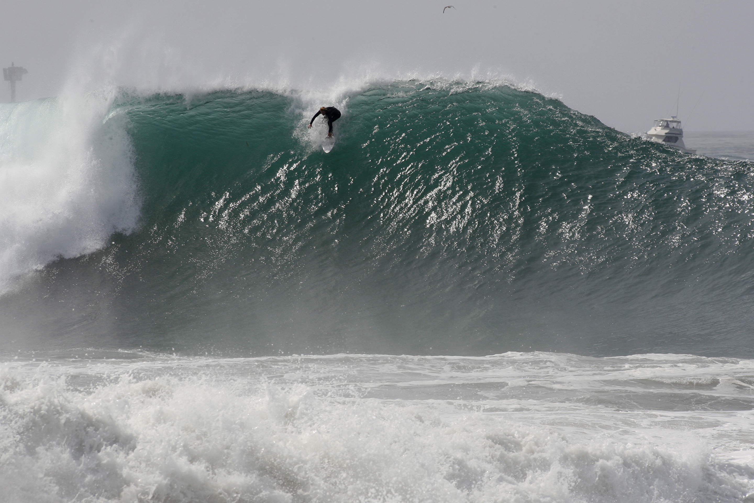 Surfing in Huntington Beach
