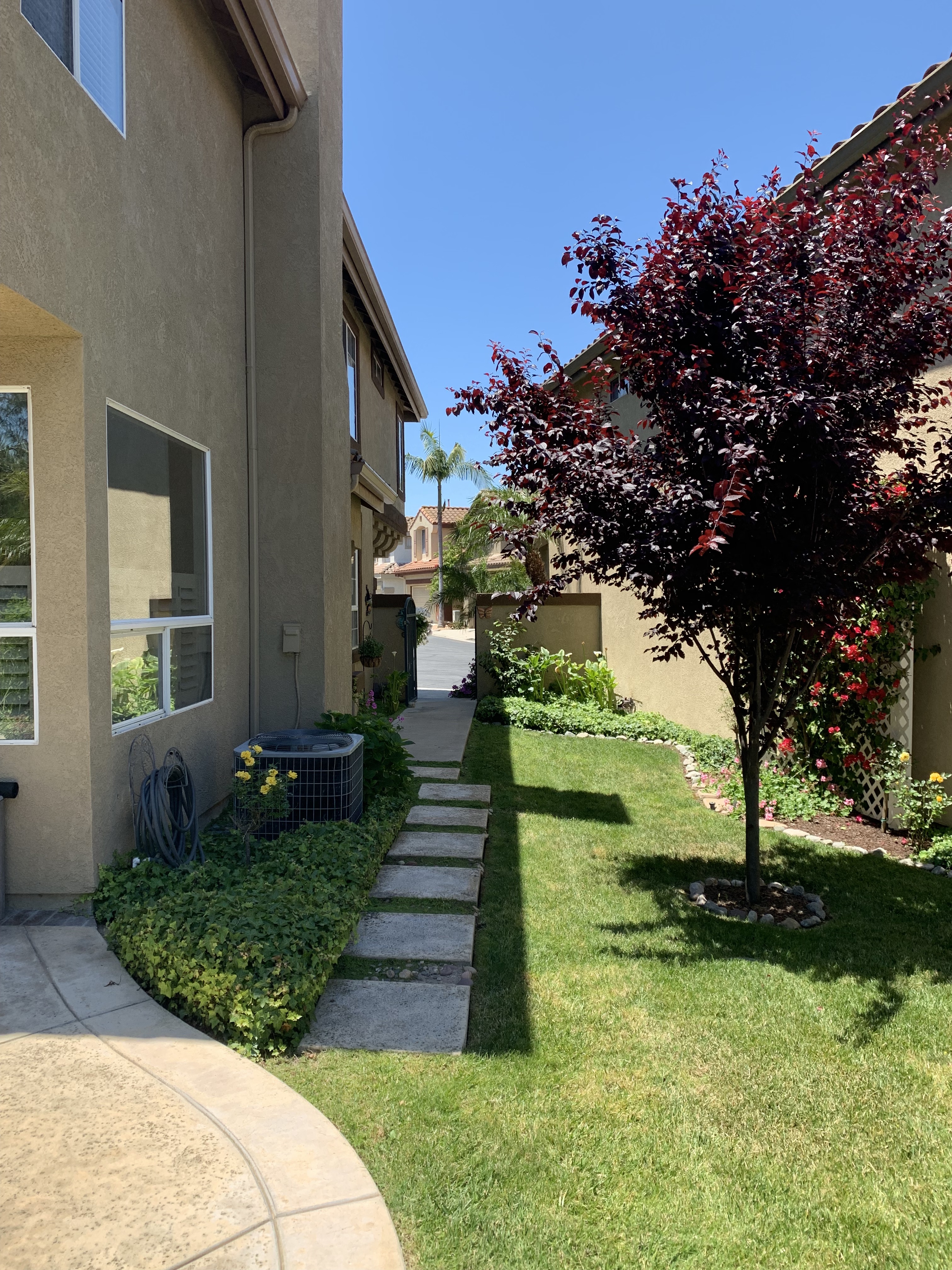 back yard