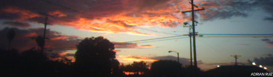 Downey Real Estate Listings