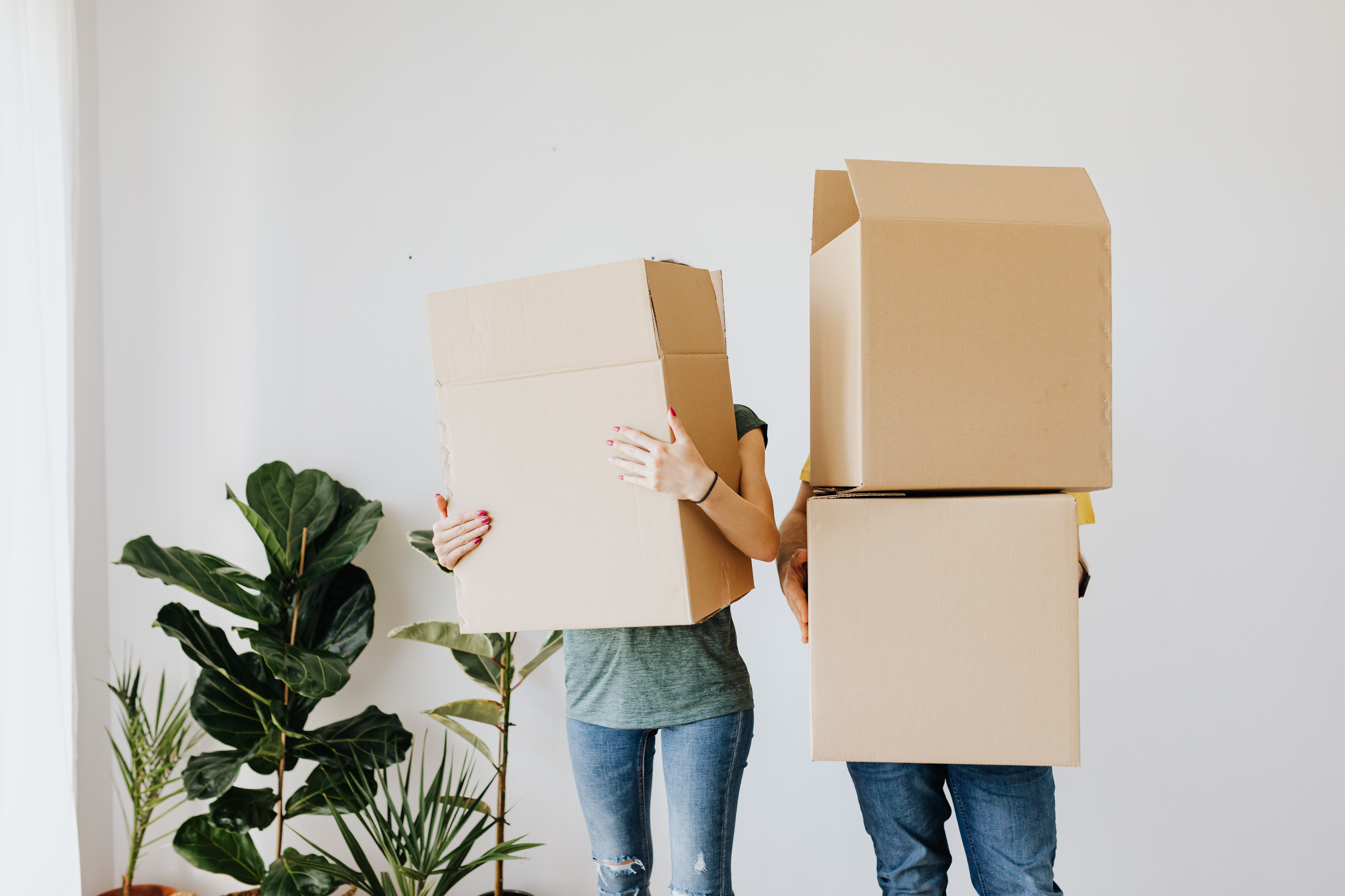 Couple carrying boxes