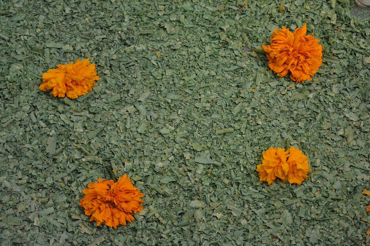 Orange cempasúchil flowers on a Día de Muertos ofrenda in Mexico