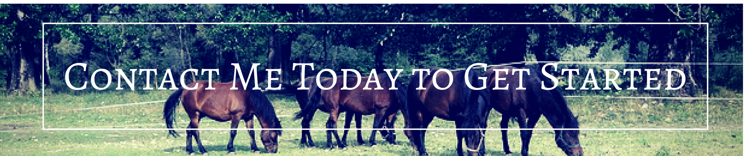 Horse Property For Sale In NW Washington