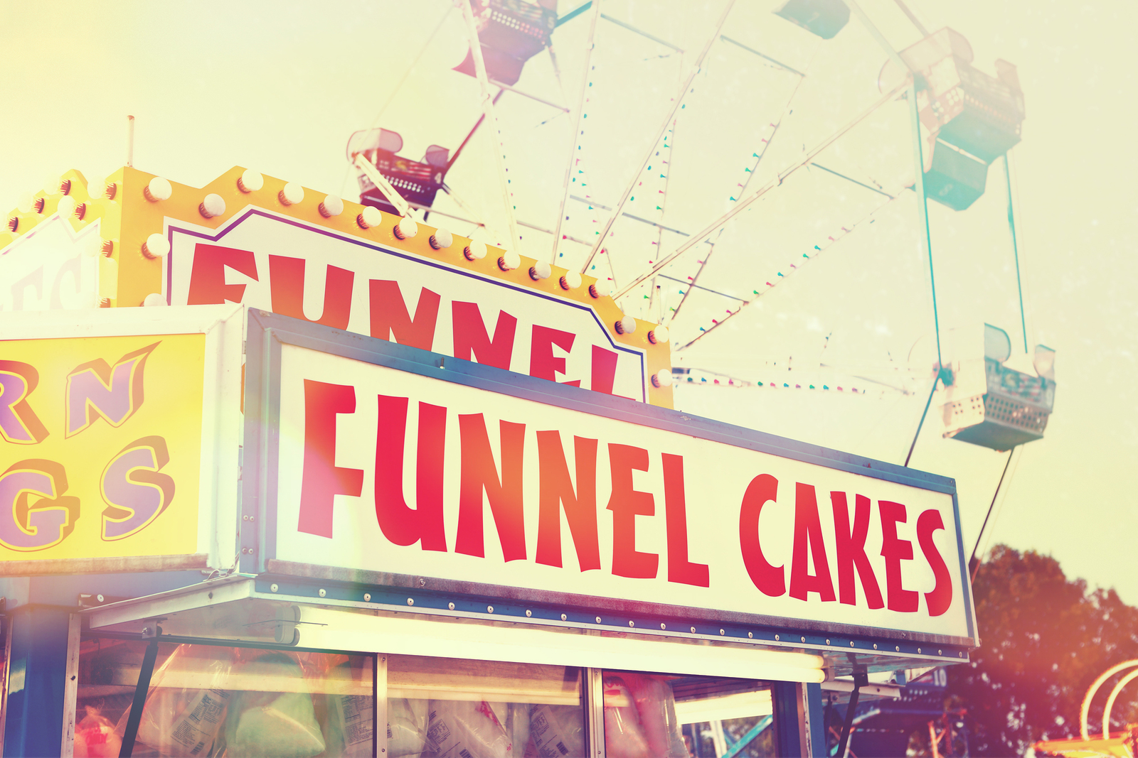Visit the state fair on Phoenix real estate.