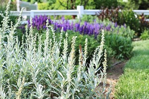 Explore Nature Near Your Scottsdale Home