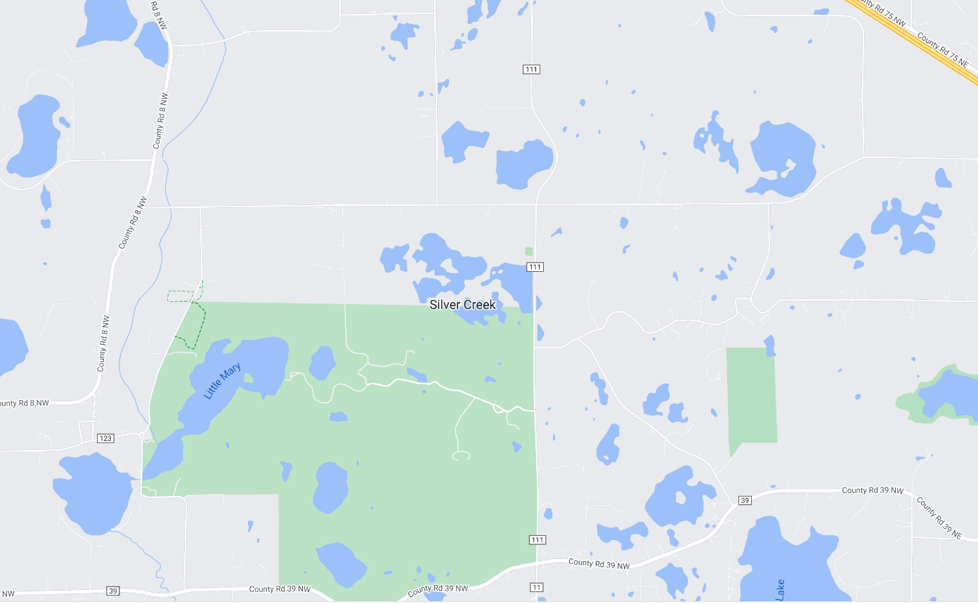 Silver Creek Homes for Sale