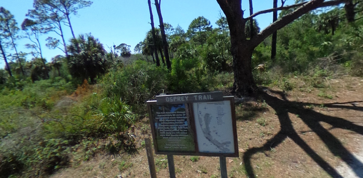 Osprey Trail Honeymoon Island Dunedin