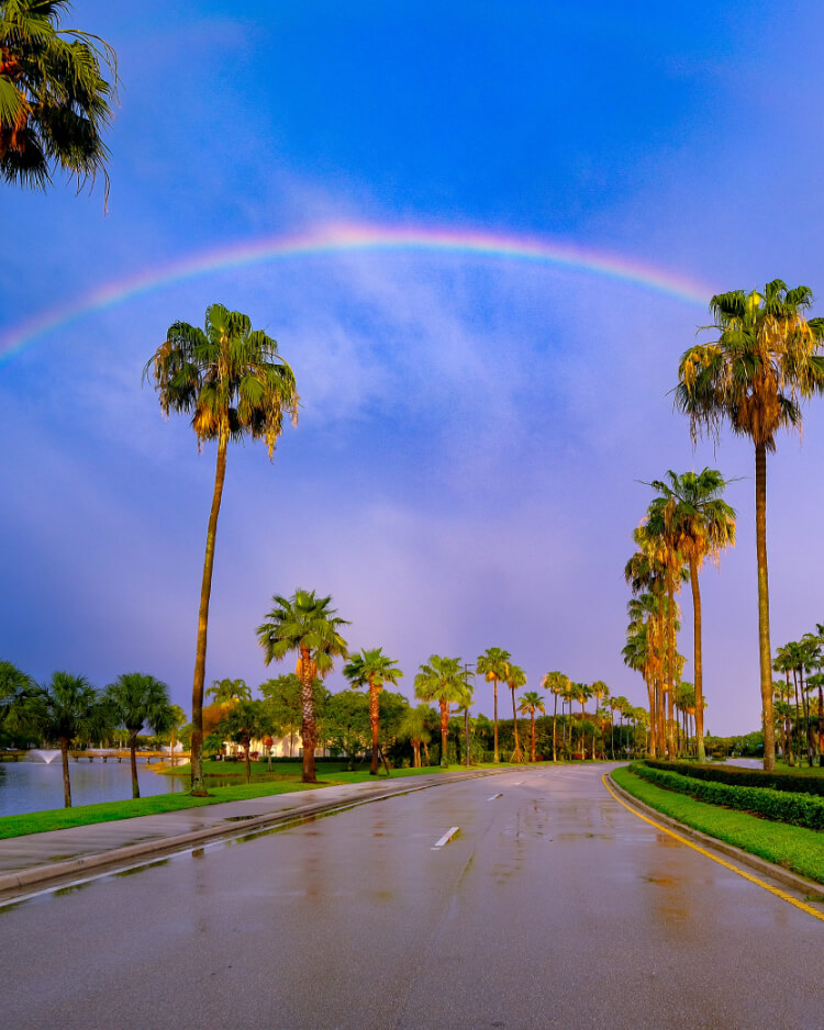 Palm Beach Gardens Real Estate