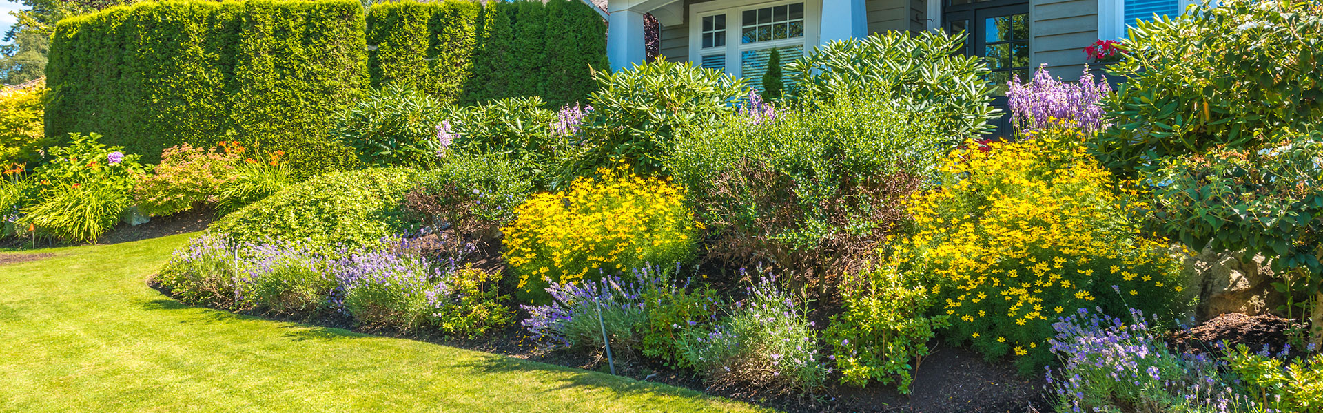 Golden Gate Estates Homes with LAND