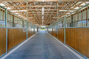 Horse Barn in Florida