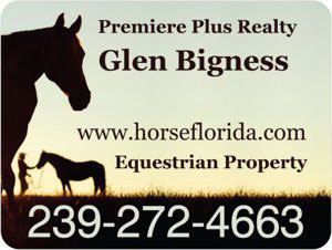 Horse Florida Logo