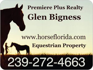 Horse Florida Property Logo