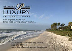 Luxury International Postcard