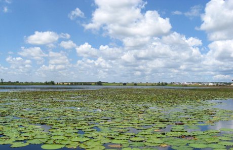 Lake Hancock Horizon West water recreation