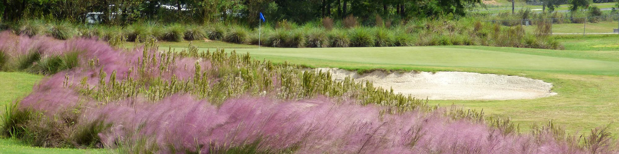 Zellwood Homes for Sale Zellwood FL Real Estate