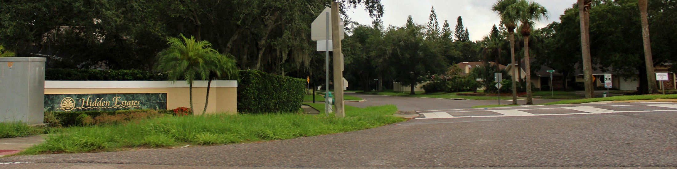 Hidden Estates Dr Phillips Florida Neighborhood Realty