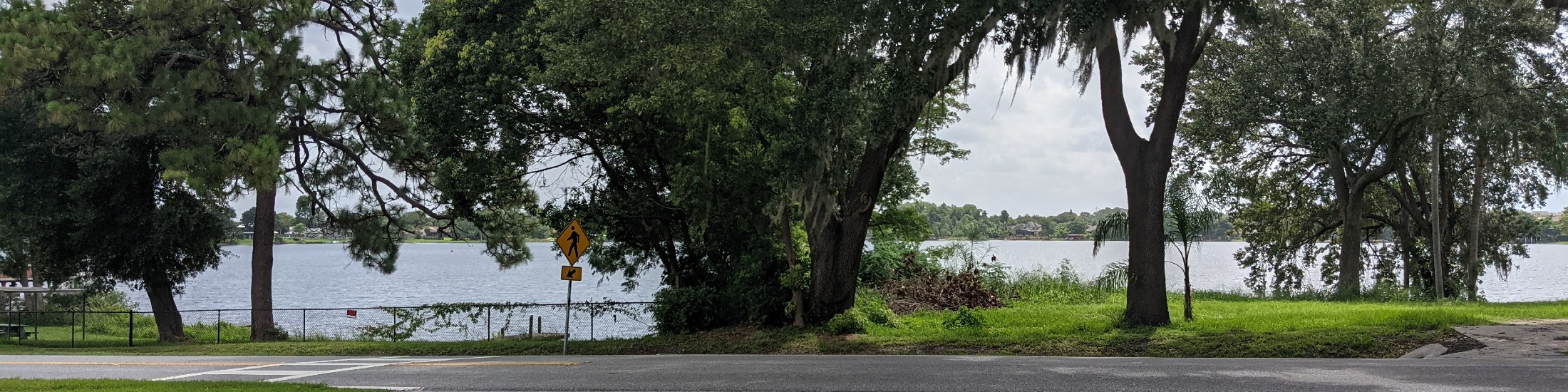 Lake Cane Hills Dr Phillips Florida Neighborhood Realty