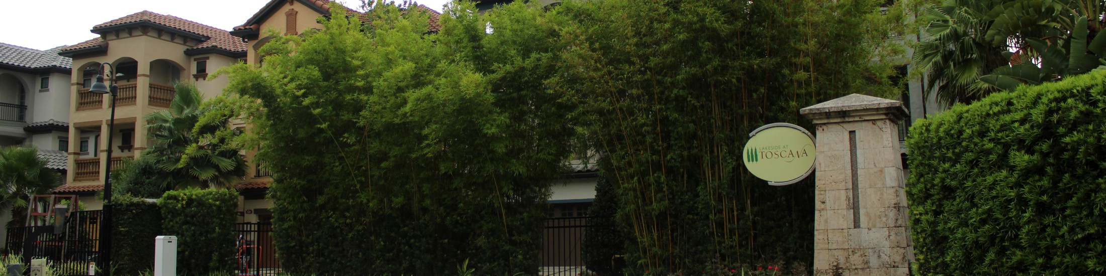 Lakeside At Toscana Dr Phillips Florida Neighborhood Realty