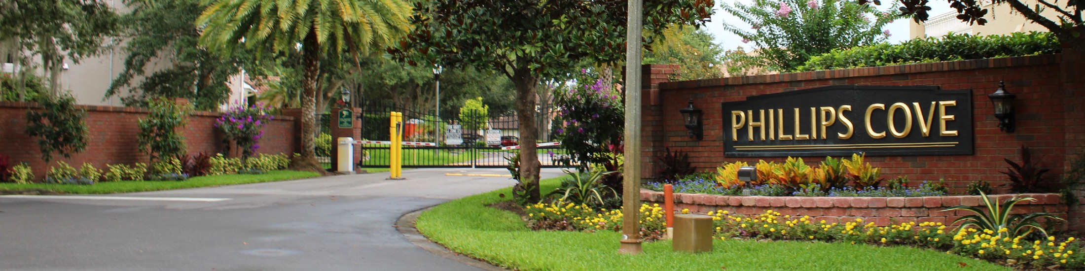 Phillips Cove Dr Phillips Florida Neighborhood Realty