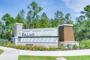 entrance to palms at serenoa community