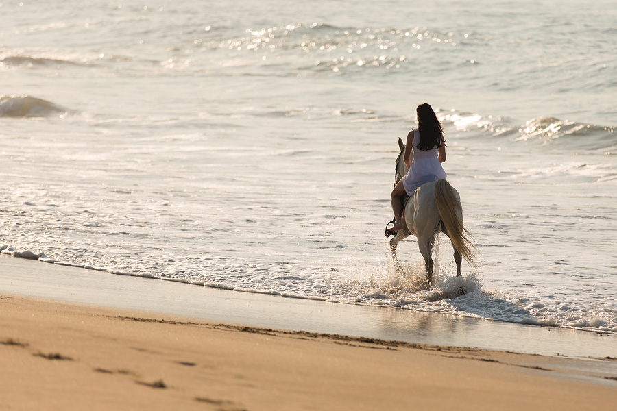Explore the Beauties of Nature Near Your Florida Home on Horseback