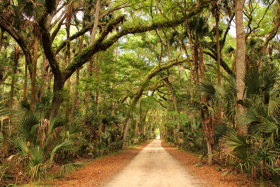 Live in Largo and learn local history.
