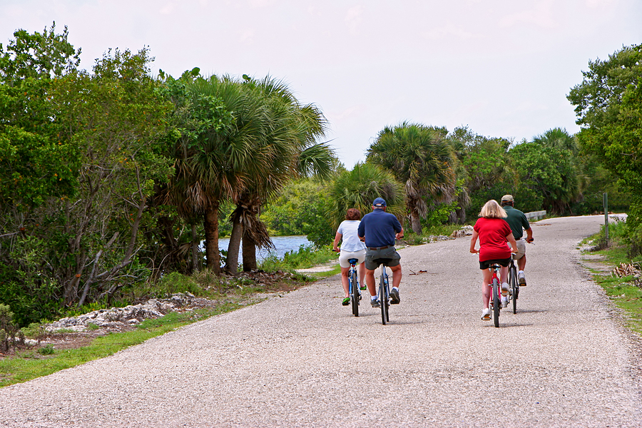 Outdoors fun Near Pinellas Real Estate