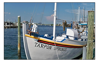 Browse Tarpon Spring FL Real Estate Houses For Sale