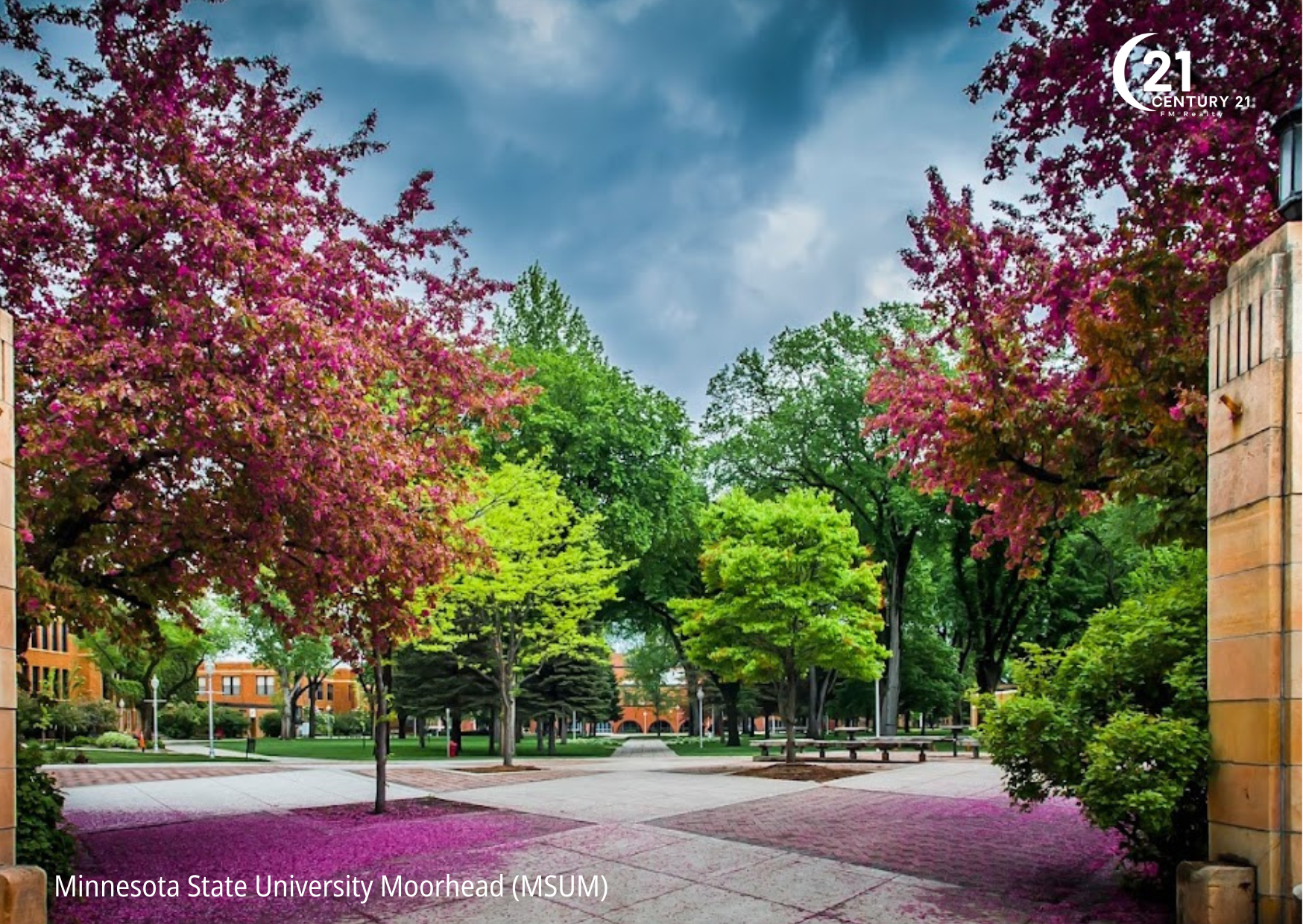Minnesota State University Moorhead (MSUM)