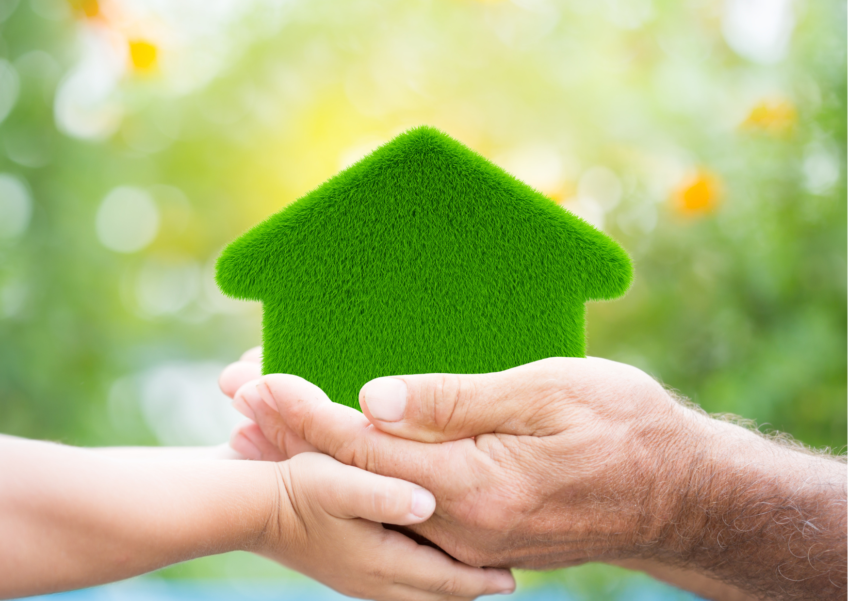 Eco-friendly Homes: