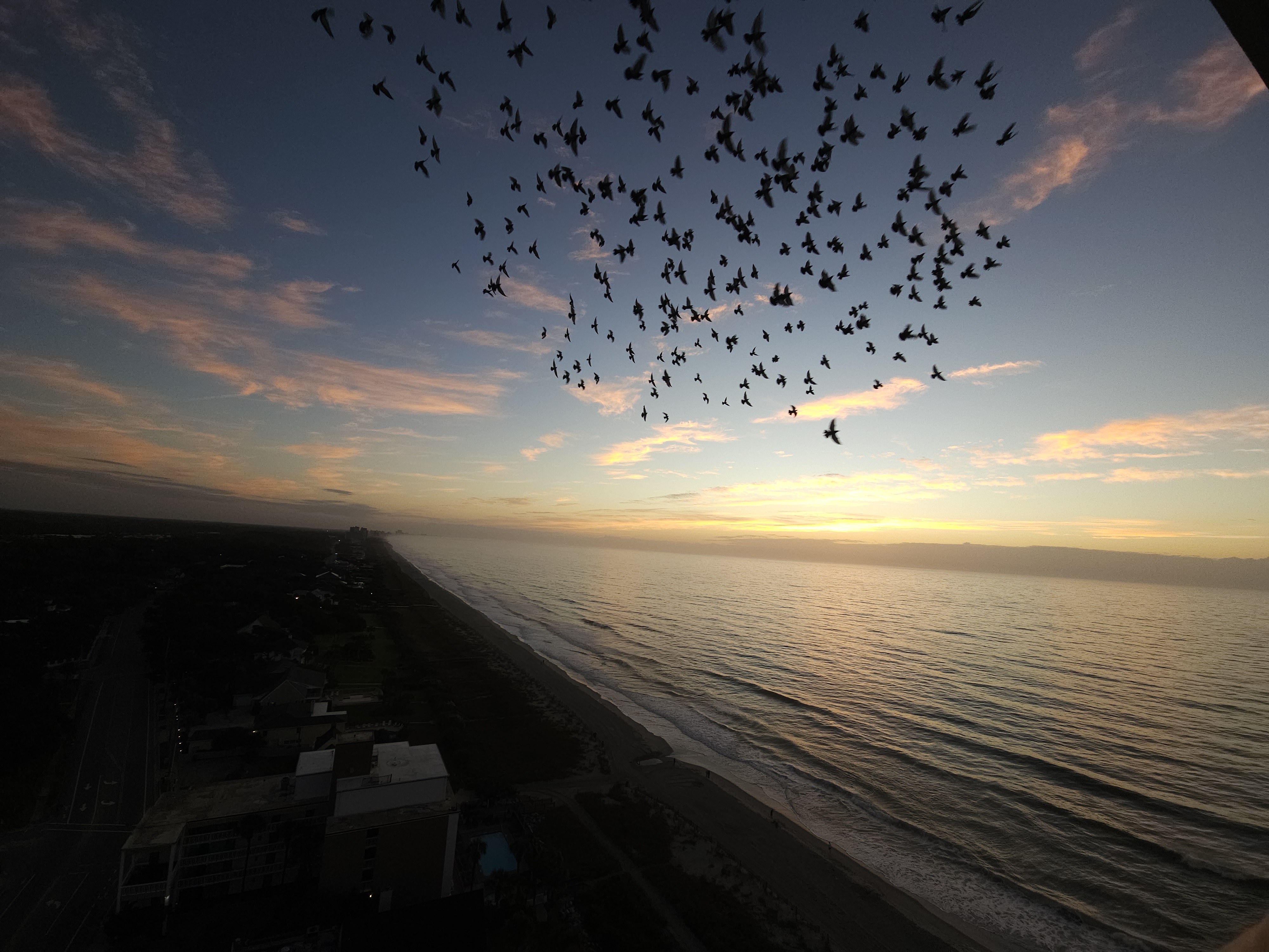 Myrtle Beach - Carolina Sumitt Rochelle Roesler Century 21 Real Estate Professor