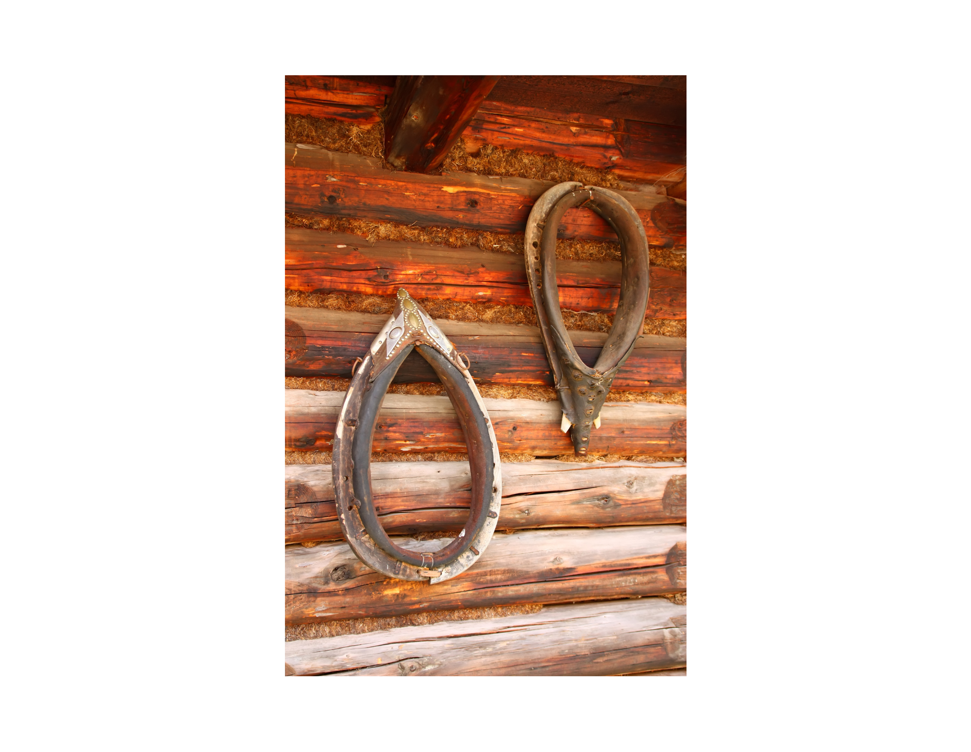Horse property search in West Fargo