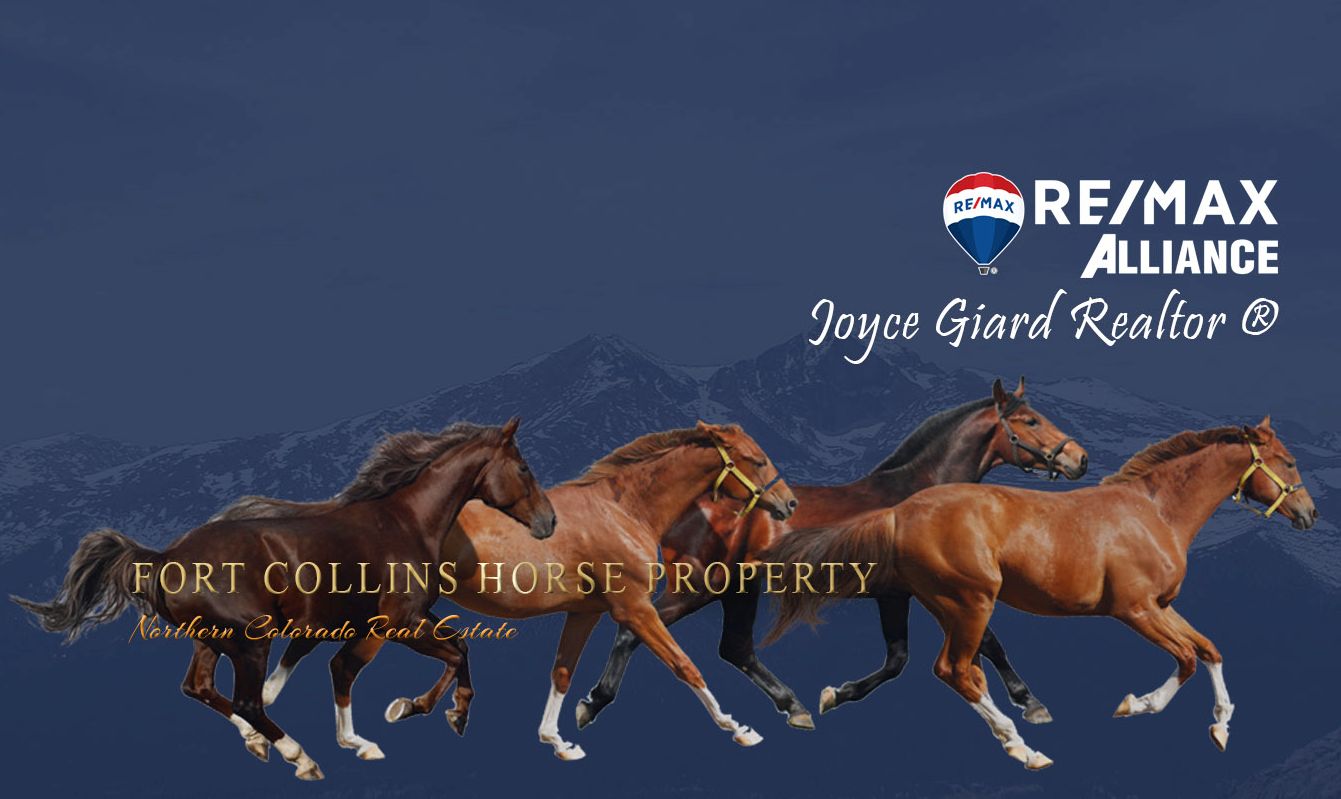 Fort Collins Horse Property For Sale