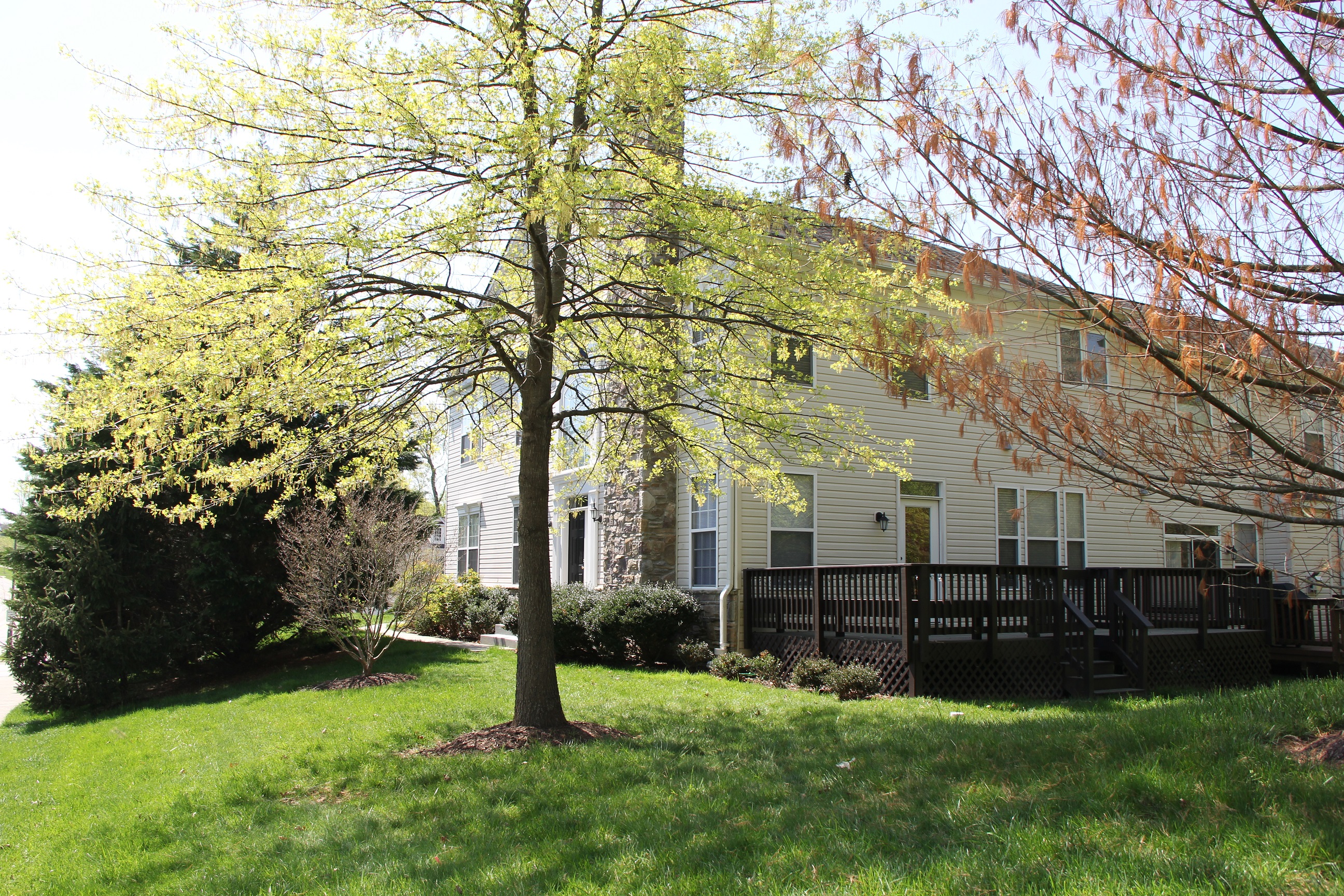 Home for rent in Piney Orchard