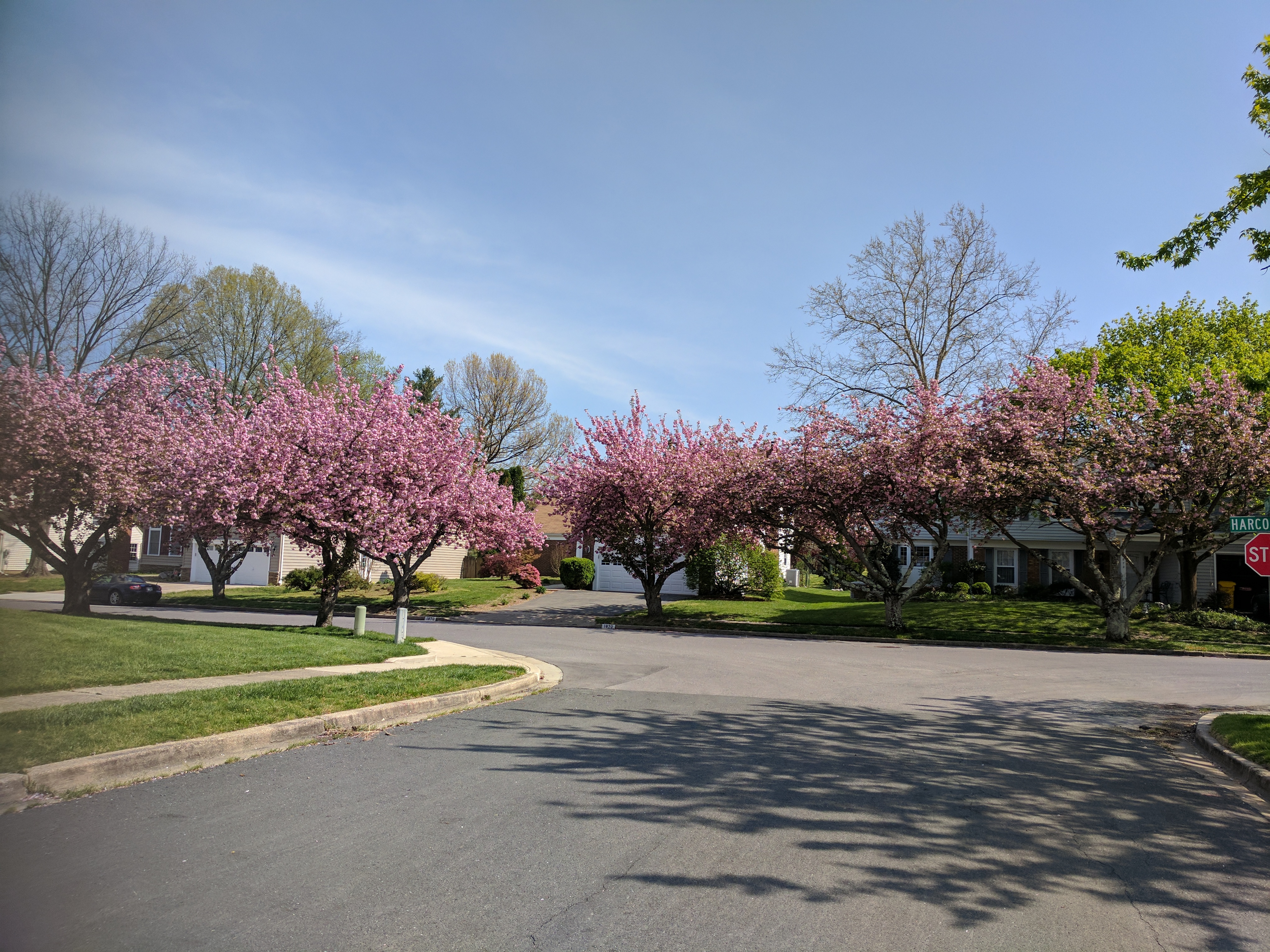 Courts of Crofton Real Estate Homes for Sale in Court of Crofton