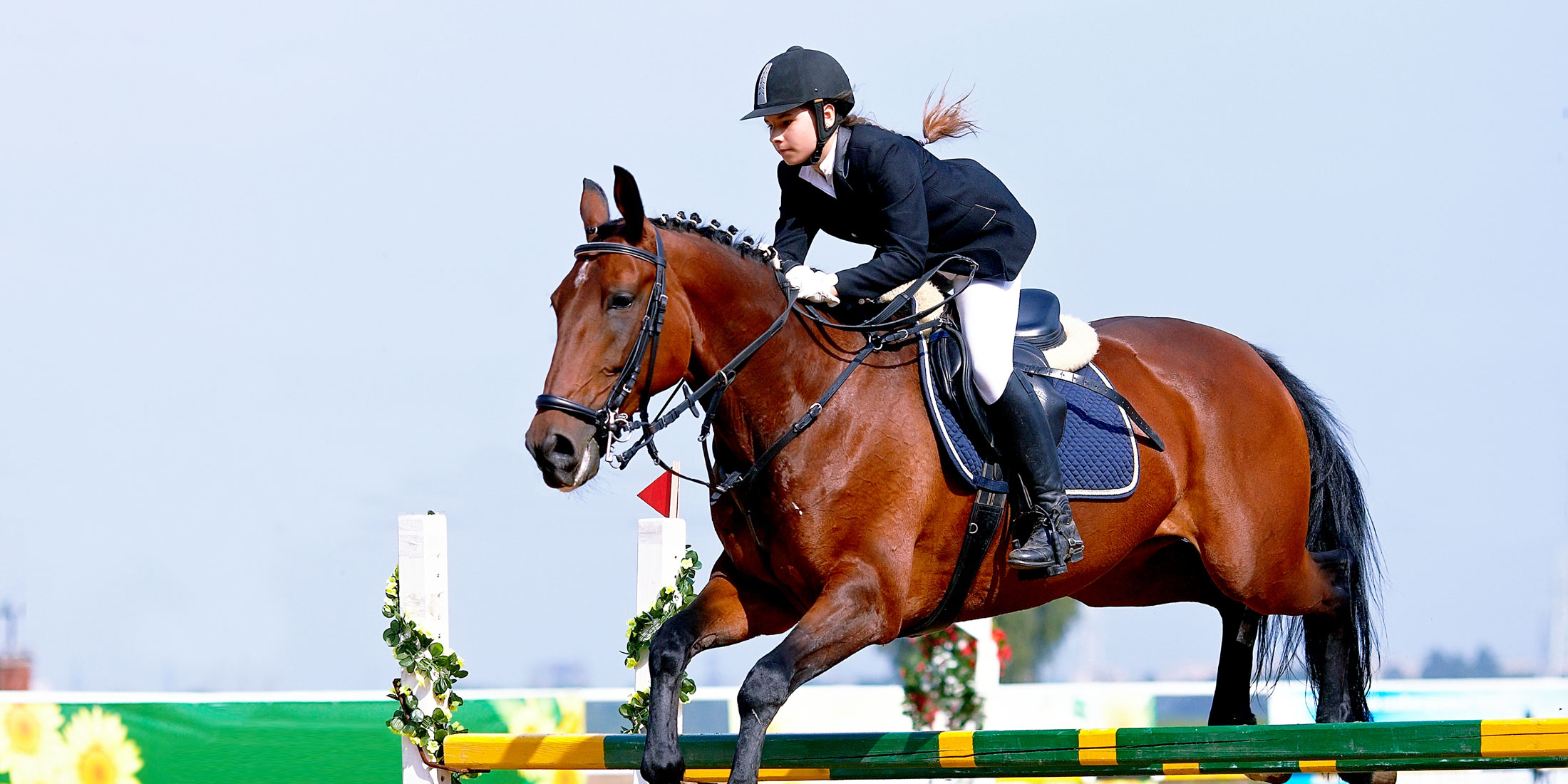 Equestrian Community Homes