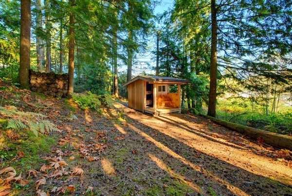 The Bunkie