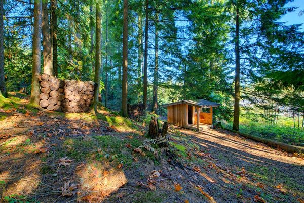 The Bunkie