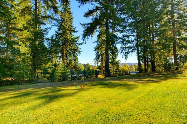 Outdoor living