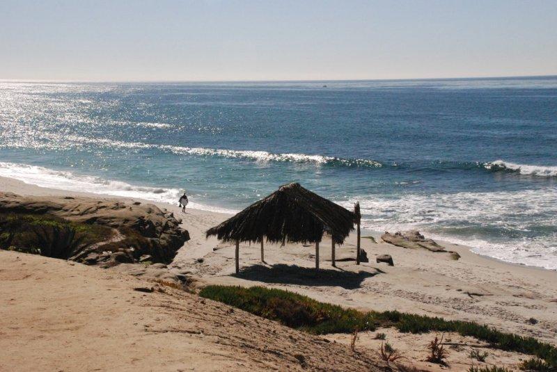 Gorgeous La Jolla Day At Windansea Beach
