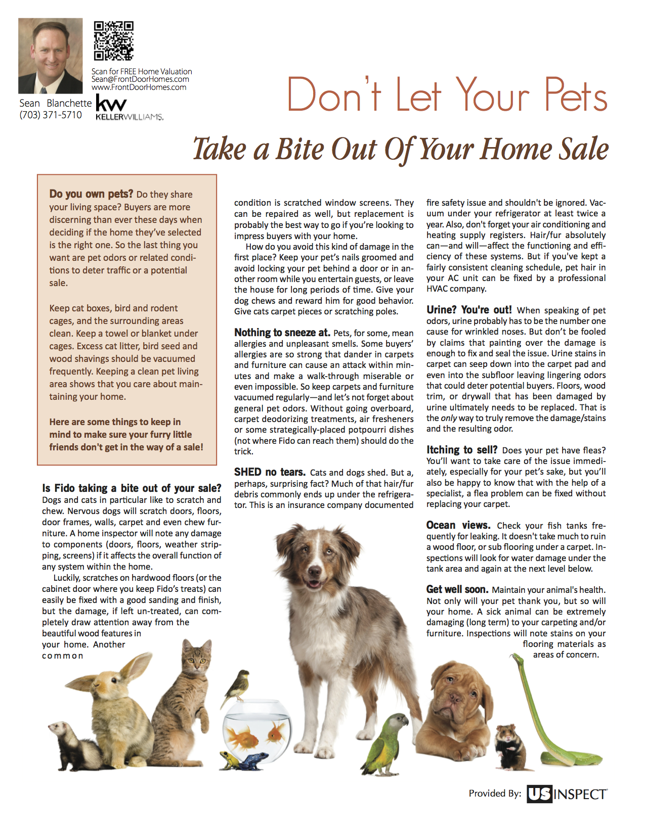 Don't let Your Pets Take a Bite Out of Your Home Sale