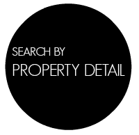 Search Icon