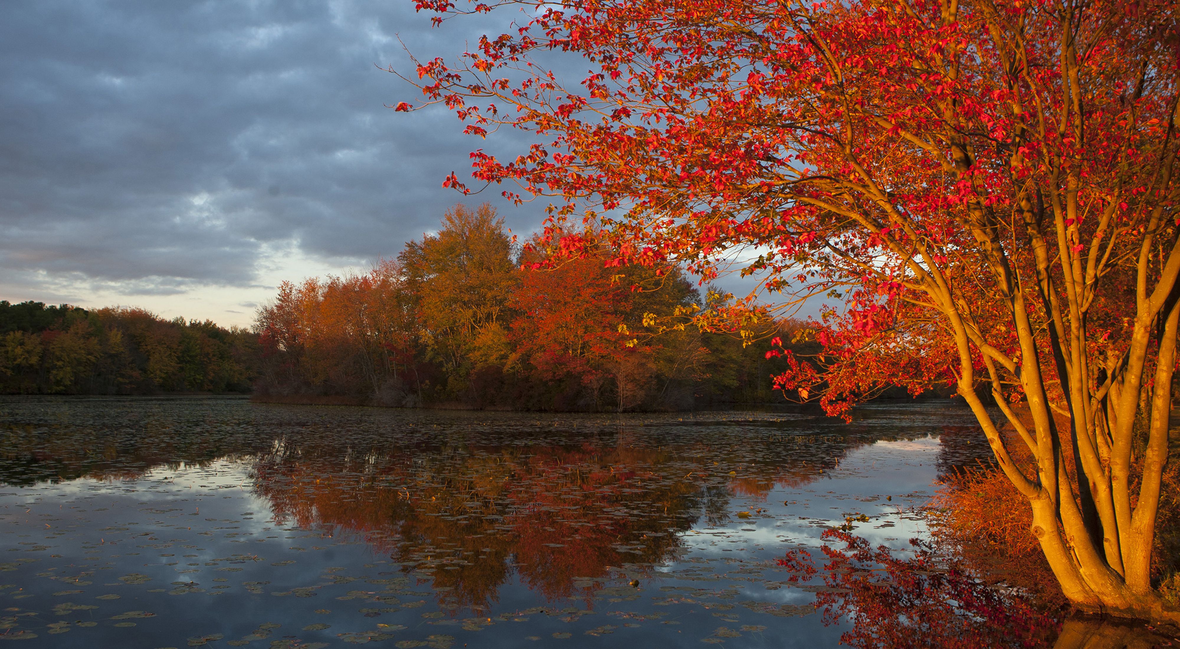 Alta Vista real estate