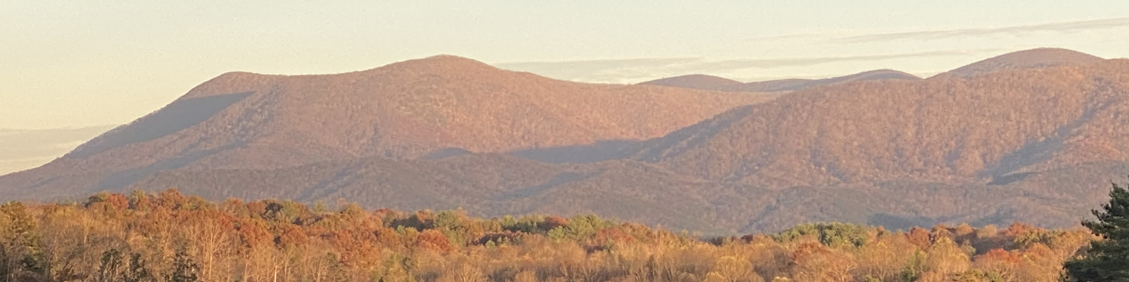 Meet The Team Mountain Living Realty