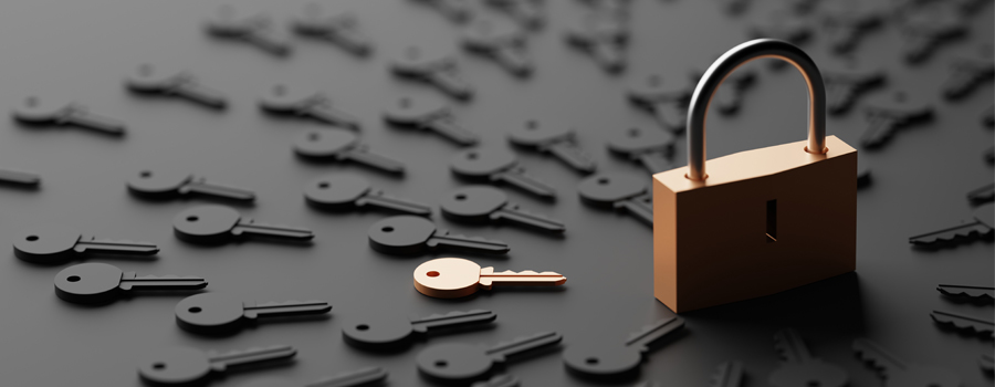 Three Layers Of Protection Against Rent Scammers - Security
