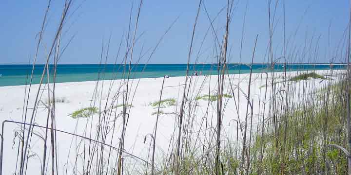 Sand dunes and sea oats at Fort Pickens Pensacola Beach