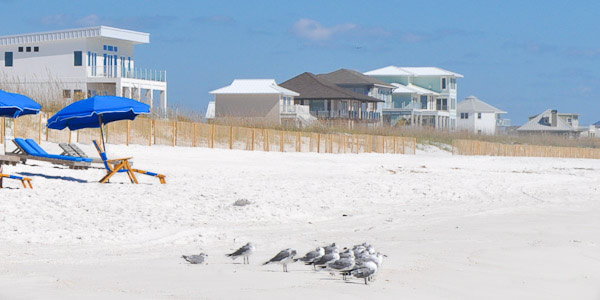 Pensacola beach houses