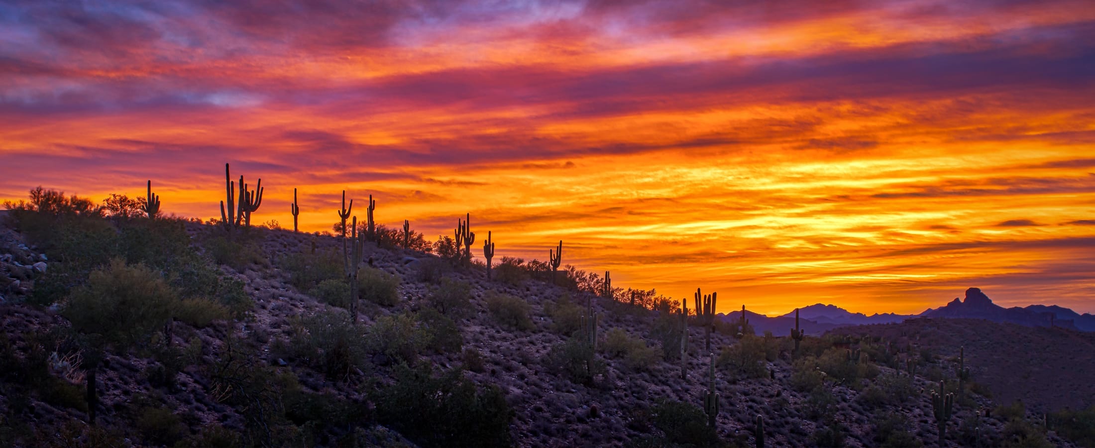 Southeastern Arizona Real Estate Southeastern Arizona Homes and Condos for Sale