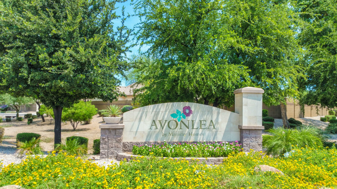 Avonlea Community in Gilbert, AZ Avonlea Area Homes