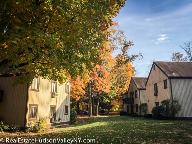 Harriman Hills Condos for Sale in Harriman NY