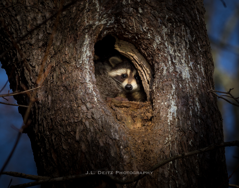 Hudson Valley Photography
